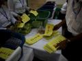 Results of 2020 Myanmar general elections cancelled - Hindi News | Results of 2020 Myanmar general elections cancelled | Latest politics News at Lokmattimes.com