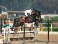 National Equestrian Championship: Sehaj Singh Virk tops NEC Grade II Show Jumping - Hindi News | National Equestrian Championship: Sehaj Singh Virk tops NEC Grade II Show Jumping | Latest other-sports News at Lokmattimes.com