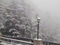 Shimla sees season's heaviest snowfall - Hindi News | Shimla sees season's heaviest snowfall | Latest national News at Lokmattimes.com