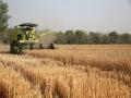 India's agricultural exports rise 14 pc in April-June quarter - Hindi News | India's agricultural exports rise 14 pc in April-June quarter | Latest business News at Lokmattimes.com