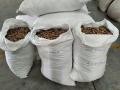 Areca nuts worth Rs 3.25 crore seized at Andhra's Krishnapatnam Port - Hindi News | Areca nuts worth Rs 3.25 crore seized at Andhra's Krishnapatnam Port | Latest national News at Lokmattimes.com