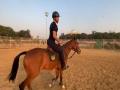 'Back to basics', says Vicky Kaushal as he shares glimpse from horse riding session - Hindi News | 'Back to basics', says Vicky Kaushal as he shares glimpse from horse riding session | Latest maharashtra News at Lokmattimes.com