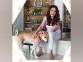 World Animal Day: Madhuri Dixit urges love, affection and respect for animals - Hindi News | World Animal Day: Madhuri Dixit urges love, affection and respect for animals | Latest maharashtra News at Lokmattimes.com