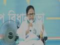 Mamata says Bengal elections are for safeguarding dignity of women, Matua community - Hindi News | Mamata says Bengal elections are for safeguarding dignity of women, Matua community | Latest politics News at Lokmattimes.com