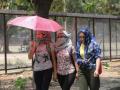 Heat wave in UP, Rajasthan till Monday - Hindi News | Heat wave in UP, Rajasthan till Monday | Latest national News at Lokmattimes.com