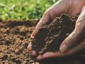 Lack of soil micronutrients linked to childhood stunting in India: Study - Hindi News | Lack of soil micronutrients linked to childhood stunting in India: Study | Latest international News at Lokmattimes.com