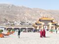 Tibetans in western China ordered to vacate land for dam construction - Hindi News | Tibetans in western China ordered to vacate land for dam construction | Latest politics News at Lokmattimes.com