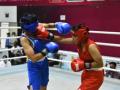 Jr Boxing Championships: Haryana girls clinch 10 gold medals - Hindi News | Jr Boxing Championships: Haryana girls clinch 10 gold medals | Latest other-sports News at Lokmattimes.com