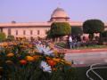Now, 300 persons allowed per slot at Mughal Gardens - Hindi News | Now, 300 persons allowed per slot at Mughal Gardens | Latest national News at Lokmattimes.com