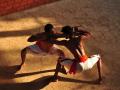 Kerala govt to set up Kalaripayattu Academy to boost traditional martial art form - Hindi News | Kerala govt to set up Kalaripayattu Academy to boost traditional martial art form | Latest national News at Lokmattimes.com