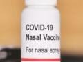 Indian Immunologicals’ new nasal, needle-free Covid vaccine a ‘gamechanger’: Study - Hindi News | Indian Immunologicals’ new nasal, needle-free Covid vaccine a ‘gamechanger’: Study | Latest health News at Lokmattimes.com