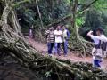 Meghalaya to showcase living root bridge at R-Day parade - Hindi News | Meghalaya to showcase living root bridge at R-Day parade | Latest national News at Lokmattimes.com