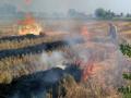 Punjab frames strategy to deal with stubble burning - Hindi News | Punjab frames strategy to deal with stubble burning | Latest politics News at Lokmattimes.com