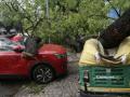 Squally winds, rains lash Delhi-NCR; cause traffic jams, uproot trees - Hindi News | Squally winds, rains lash Delhi-NCR; cause traffic jams, uproot trees | Latest national News at Lokmattimes.com