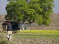 6.9L UP land disputes solved under 'Varasat' drive - Hindi News | 6.9L UP land disputes solved under 'Varasat' drive | Latest politics News at Lokmattimes.com