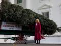 Jill Biden receives WH Christmas Tree - Hindi News | Jill Biden receives WH Christmas Tree | Latest politics News at Lokmattimes.com