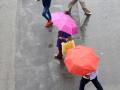 Rain to lash K'taka till Dec 16, yellow alert in three districts - Hindi News | Rain to lash K'taka till Dec 16, yellow alert in three districts | Latest national News at Lokmattimes.com