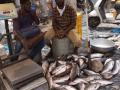 Fish markets, cricket and no masks: Have Maha, south failed India's fight against Covid? - Hindi News | Fish markets, cricket and no masks: Have Maha, south failed India's fight against Covid? | Latest national News at Lokmattimes.com