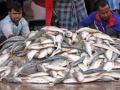 Fish production reaches all-time high, shows data - Hindi News | Fish production reaches all-time high, shows data | Latest national News at Lokmattimes.com