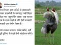 Sarus, taken away from friend, goes missing in UP sanctuary - Hindi News | Sarus, taken away from friend, goes missing in UP sanctuary | Latest national News at Lokmattimes.com