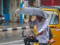 Rains predicted for TN in next five days - Hindi News | Rains predicted for TN in next five days | Latest national News at Lokmattimes.com