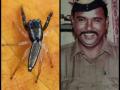 New spider species named after 26/11 martyr who caught Kasab - Hindi News | New spider species named after 26/11 martyr who caught Kasab | Latest international News at Lokmattimes.com