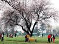 Mainly dry weather likely in J&K during next 24 hours - Hindi News | Mainly dry weather likely in J&K during next 24 hours | Latest national News at Lokmattimes.com