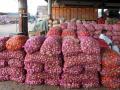Govt raises onion buffer from 3 LMT to 5 LMT, to be sold at Rs 25 per kg from tomorrow - Hindi News | Govt raises onion buffer from 3 LMT to 5 LMT, to be sold at Rs 25 per kg from tomorrow | Latest international News at Lokmattimes.com