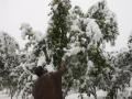 Heavy to very heavy rain, snow forecast in J&K - Hindi News | Heavy to very heavy rain, snow forecast in J&K | Latest national News at Lokmattimes.com