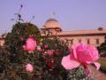Mughal Gardens at Rashtrapati Bhavan to open on Feb 12 - Hindi News | Mughal Gardens at Rashtrapati Bhavan to open on Feb 12 | Latest politics News at Lokmattimes.com