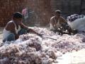 Pakistan textile industry wants to import Indian cotton - Hindi News | Pakistan textile industry wants to import Indian cotton | Latest politics News at Lokmattimes.com