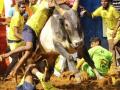 Malayalam film 'Jallikattu' is India's entry for Oscars 2021 - Hindi News | Malayalam film 'Jallikattu' is India's entry for Oscars 2021 | Latest lifestyle News at Lokmattimes.com