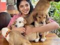 Don't buy dogs, adopt them, advises Samyukta Hornad - Hindi News | Don't buy dogs, adopt them, advises Samyukta Hornad | Latest entertainment News at Lokmattimes.com