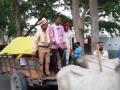 Blast from the past: 'Baraat' goes on bullock cart - Hindi News | Blast from the past: 'Baraat' goes on bullock cart | Latest international News at Lokmattimes.com