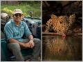 Harsha Narasimhamurthy - an award-winning Wildlife Photographer and Mentor - Hindi News | Harsha Narasimhamurthy - an award-winning Wildlife Photographer and Mentor | Latest business News at Lokmattimes.com