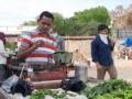 'Disenchanted': Magician turns into a vegetable seller amid lockdown - Hindi News | 'Disenchanted': Magician turns into a vegetable seller amid lockdown | Latest national News at Lokmattimes.com