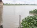 Yamuna water level drops below danger mark - Hindi News | Yamuna water level drops below danger mark | Latest national News at Lokmattimes.com