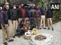 West Bengal: Belakoba forest officials seized pangolin scales; 3 held - Hindi News | West Bengal: Belakoba forest officials seized pangolin scales; 3 held | Latest national News at Lokmattimes.com