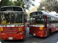 Bus services in Mumbai to resume from today - Hindi News | Bus services in Mumbai to resume from today | Latest national News at Lokmattimes.com