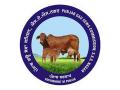 Punjab Gau Sewa Commission welcomes Allahabad HC's observation on cow - Hindi News | Punjab Gau Sewa Commission welcomes Allahabad HC's observation on cow | Latest national News at Lokmattimes.com