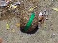 18 crude bombs found at Hindu temple in Bangladesh's Khulna - Hindi News | 18 crude bombs found at Hindu temple in Bangladesh's Khulna | Latest international News at Lokmattimes.com