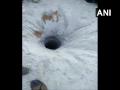 3-year-old child falls into borewell in Telangana's Medak, rescue operations underway - Hindi News | 3-year-old child falls into borewell in Telangana's Medak, rescue operations underway | Latest national News at Lokmattimes.com