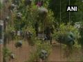 WB: Forest Range Officer creates garden using plastic bottles, rubber tyres - Hindi News | WB: Forest Range Officer creates garden using plastic bottles, rubber tyres | Latest national News at Lokmattimes.com