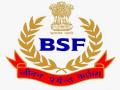 53 BSF personnel test positive for COVID-19 - Hindi News | 53 BSF personnel test positive for COVID-19 | Latest national News at Lokmattimes.com