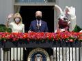 Easter Bunny visits White House, makes surprise appearance at press briefing - Hindi News | Easter Bunny visits White House, makes surprise appearance at press briefing | Latest international News at Lokmattimes.com