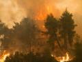 Two killed in large wildfire in France - Hindi News | Two killed in large wildfire in France | Latest international News at Lokmattimes.com