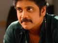 Nagarjuna-starrer 'Ghost' Dubai schedule postponed - Hindi News | Nagarjuna-starrer 'Ghost' Dubai schedule postponed | Latest entertainment News at Lokmattimes.com