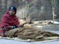 Over 170 homeless died of extreme cold in Delhi: Report - Hindi News | Over 170 homeless died of extreme cold in Delhi: Report | Latest national News at Lokmattimes.com