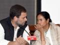 Is Trinamool's silence on ED action against Rahul Gandhi aimed at undermining Cong? - Hindi News | Is Trinamool's silence on ED action against Rahul Gandhi aimed at undermining Cong? | Latest national News at Lokmattimes.com
