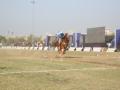 Indian tent pegging team named for World Cup qualifiers - Hindi News | Indian tent pegging team named for World Cup qualifiers | Latest other-sports News at Lokmattimes.com